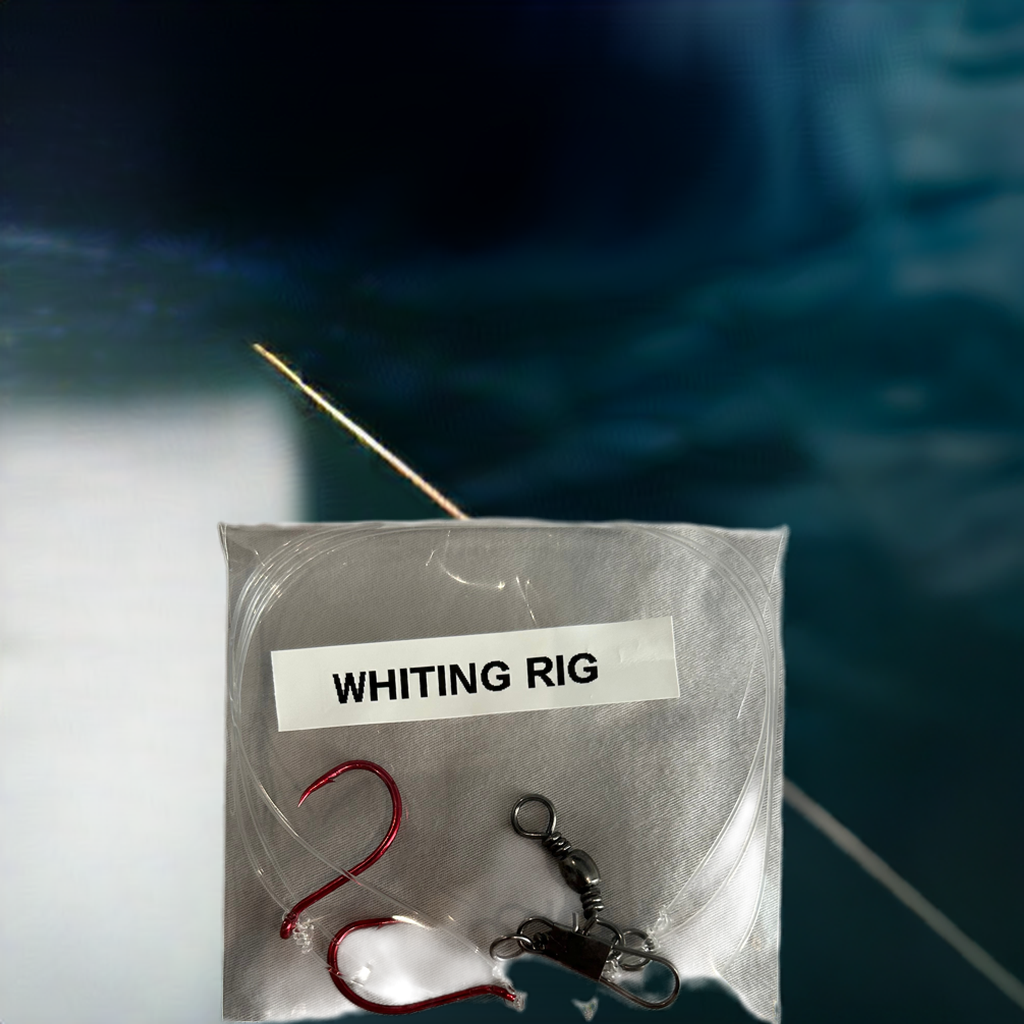 Whiting Rig